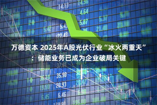 万德资本 2025年A股光伏行业“冰火两重天”：储能业务已成为企业破局关键
