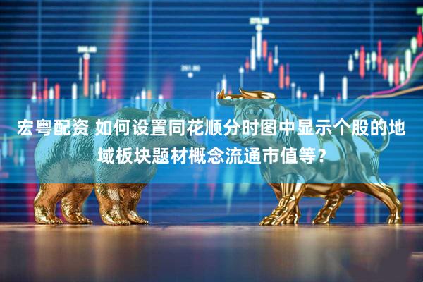 宏粤配资 如何设置同花顺分时图中显示个股的地域板块题材概念流通市值等？