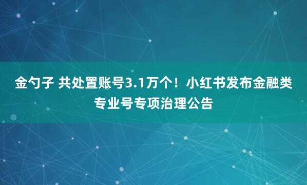 金勺子 共处置账号3.1万个！小红书发布金融类专业号专项治理公告